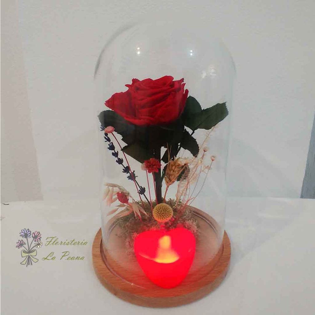 Cúpula Rosa Roja Eterna y Corazón Led