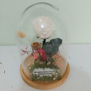 Cúpula con Rosa Blanca Preservada decorada