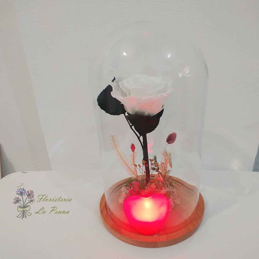 Cúpula de cristal con Rosa Blanca Eterna decorada con corazón led
