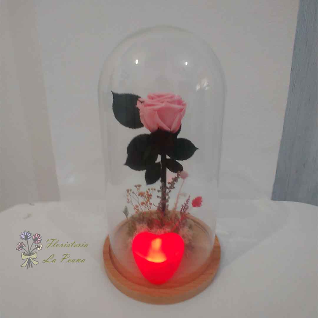 Cúpula con Rosa Preservada decorada y corazon luz led