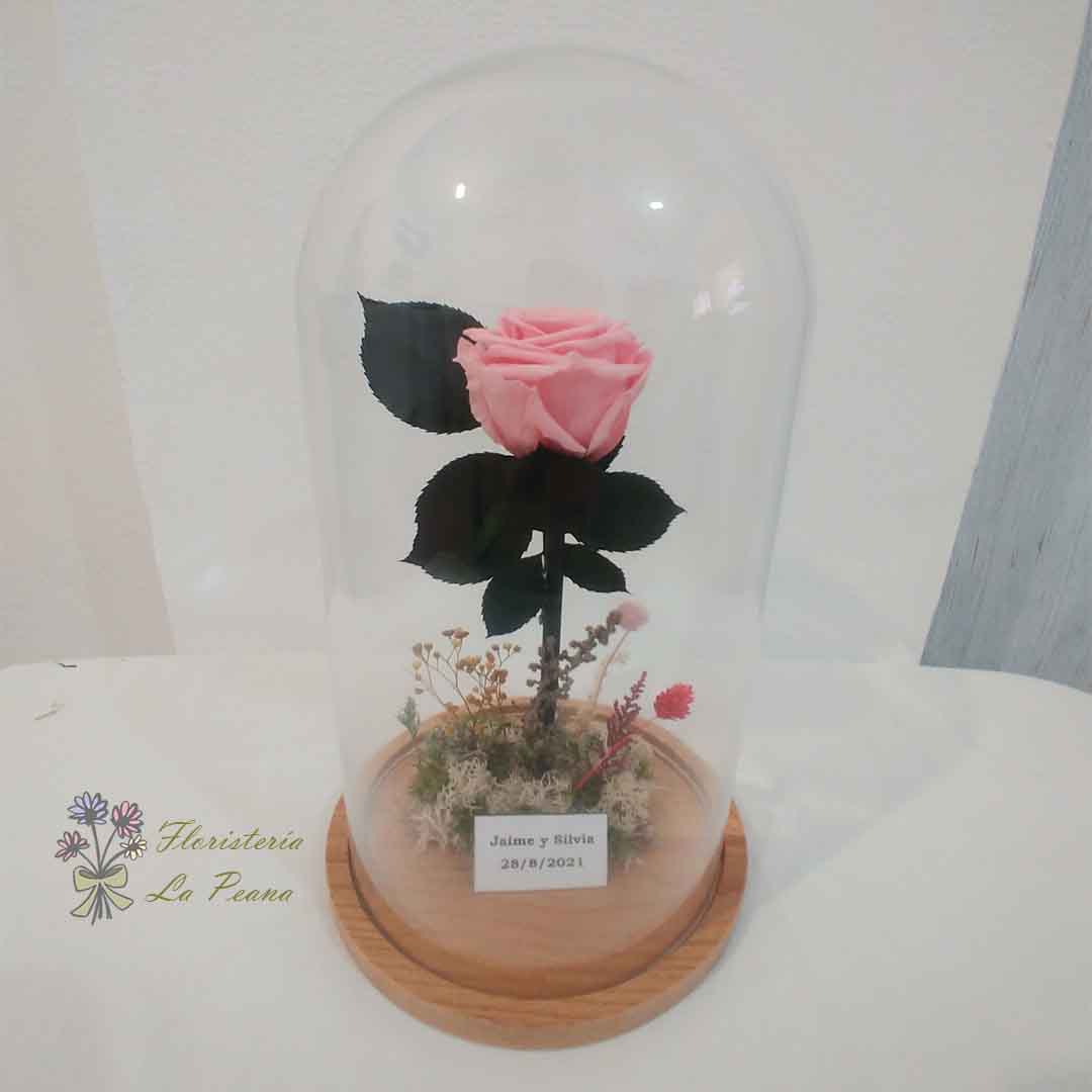 Cúpula con Rosa Eterna Rosa y frase con dedicatoria