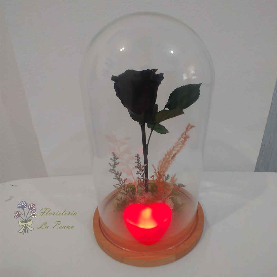 Cúpula de Cristal con Rosa Eterna Negra y Corazón luz led